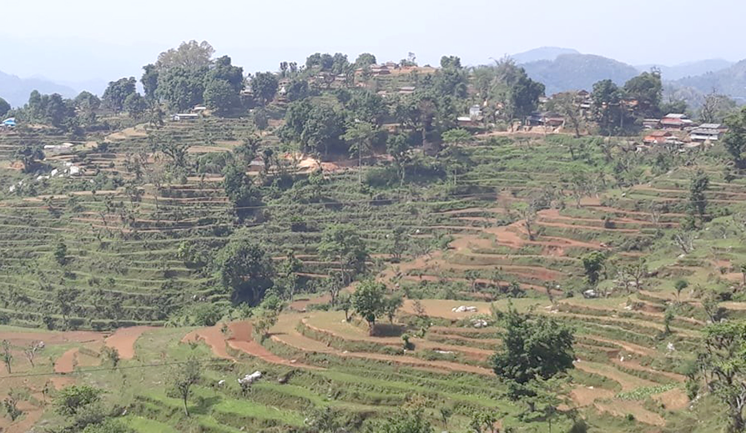 सुर्खेतका ९ स्थानीय तहलाई १४ करोड