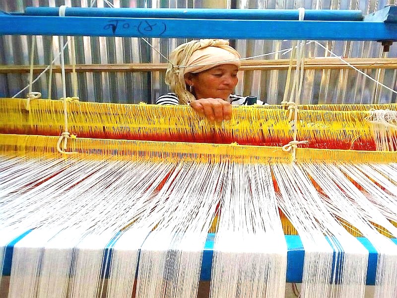 लकडाउनले अल्लो उद्योगको बजारीकरणमा समस्या