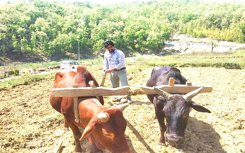 दैलेखमा खेतीयोग्य जमिन बाँझो नराख्ने अभियानको शुरुआत