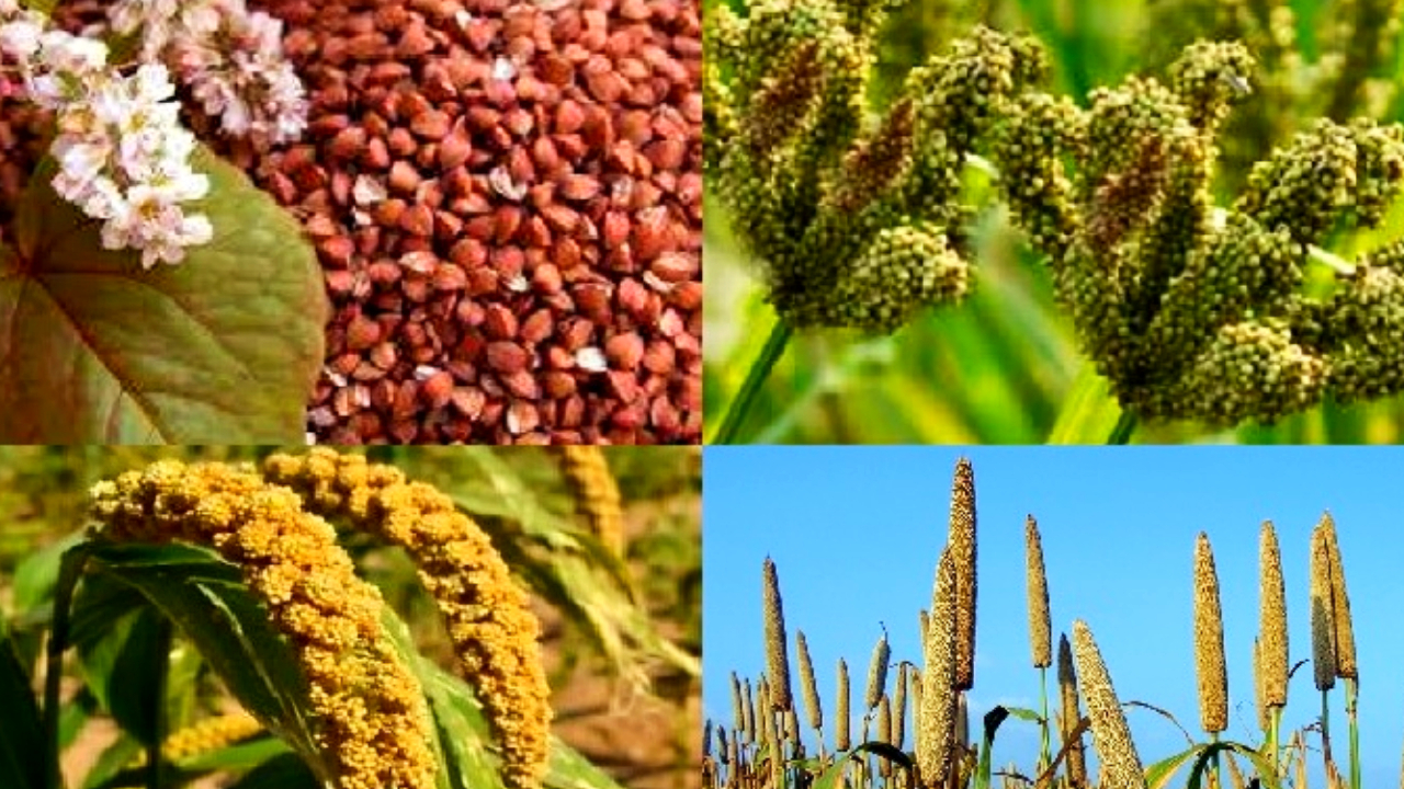 कर्णालीका उत्पादन विदेशसम्म