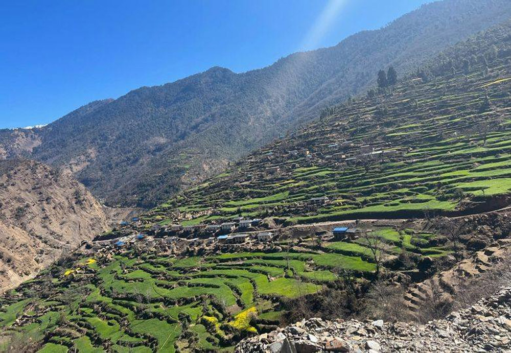 पानी नपर्दा हिउँदे बाली सुक्न थाले
