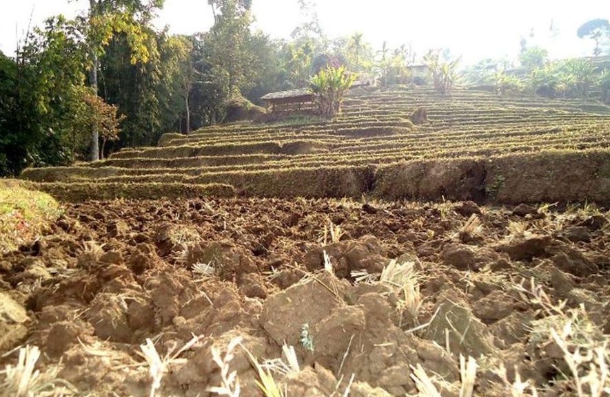 माटोको उर्वराशक्ति घट्दै