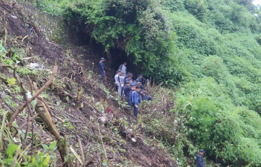 मिचाहा वनस्पति नियन्त्रण अभियान