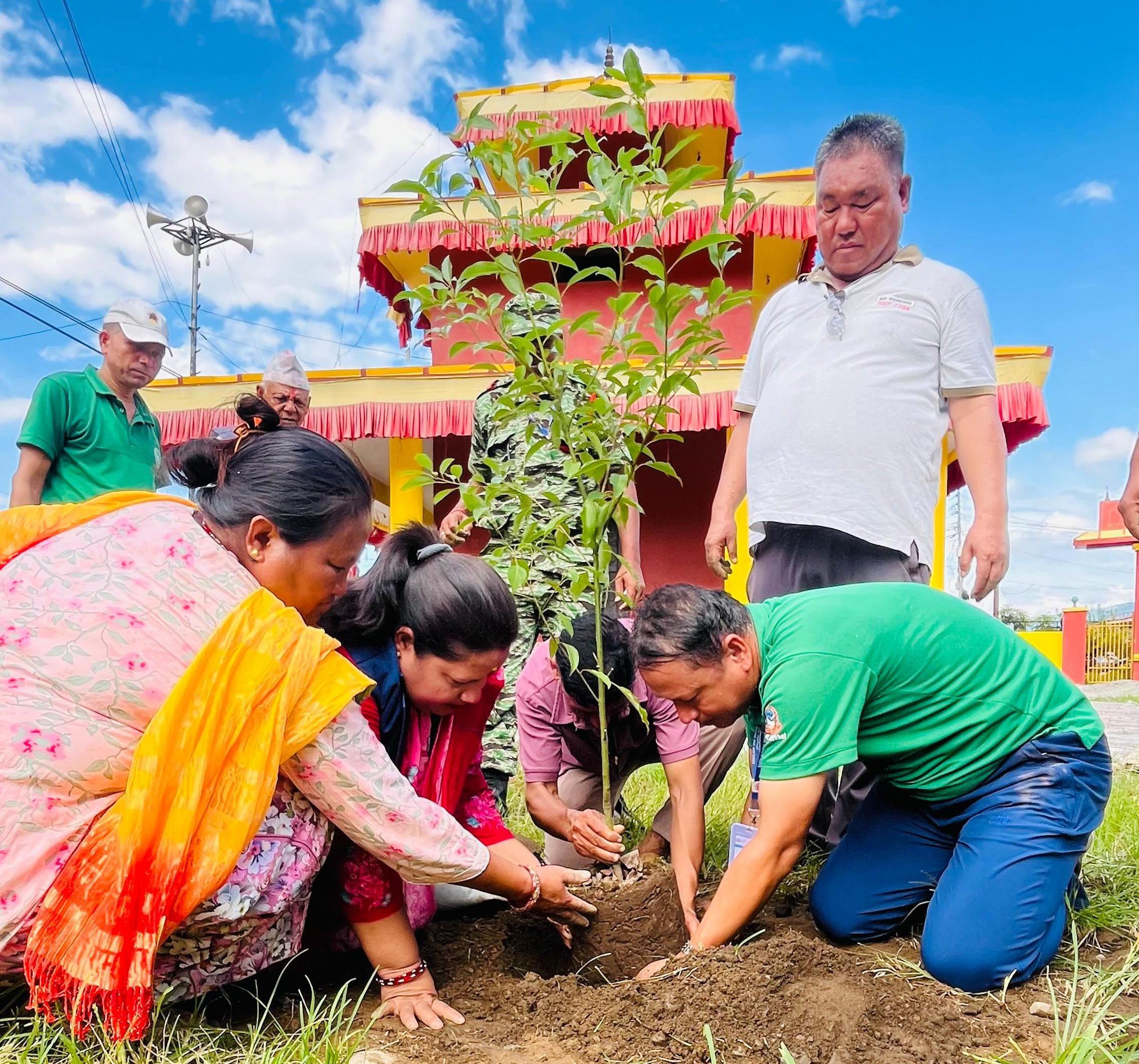 सुर्खेतको शुभघाट स्थित देउतीबज्यै मन्दिर परिसरमा १ सय १ विरुवा रोपियो