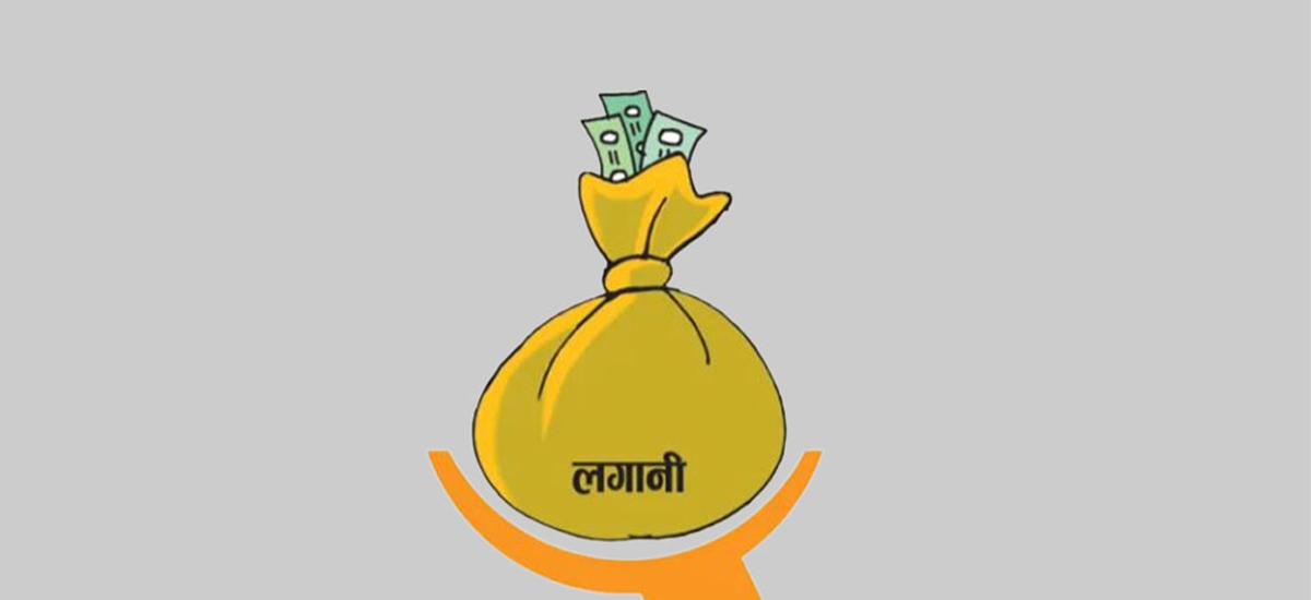 प्रत्यक्ष वैदेशिक लगानी १२ अर्ब भित्रियो